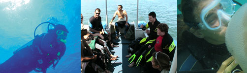 Scuba Diving from Boat Gold Coast