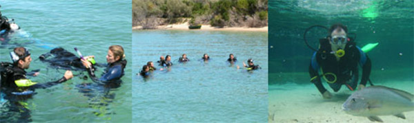 Scuba Diving in the Broadwater